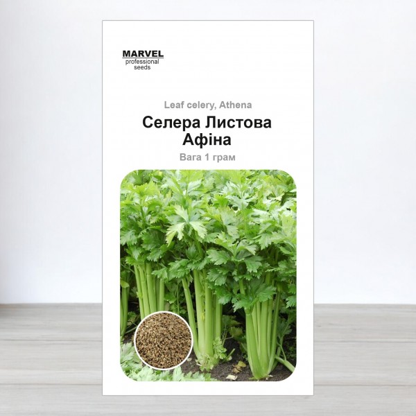 Насіння селери листової Афіна, Польща, Marvel, 1г